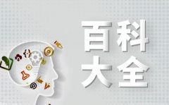 玥湖渝快电充换电坐一辆新